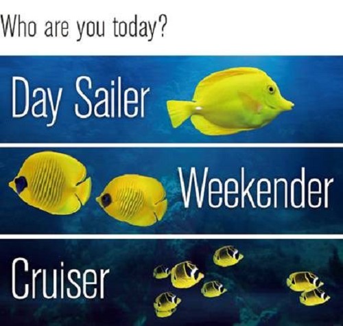 法国Beneteau推出新Oceanis全新帆船见解