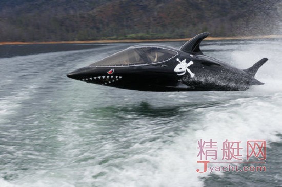 厦门骏豪举行innespace鲨鱼艇试乘试驾活动